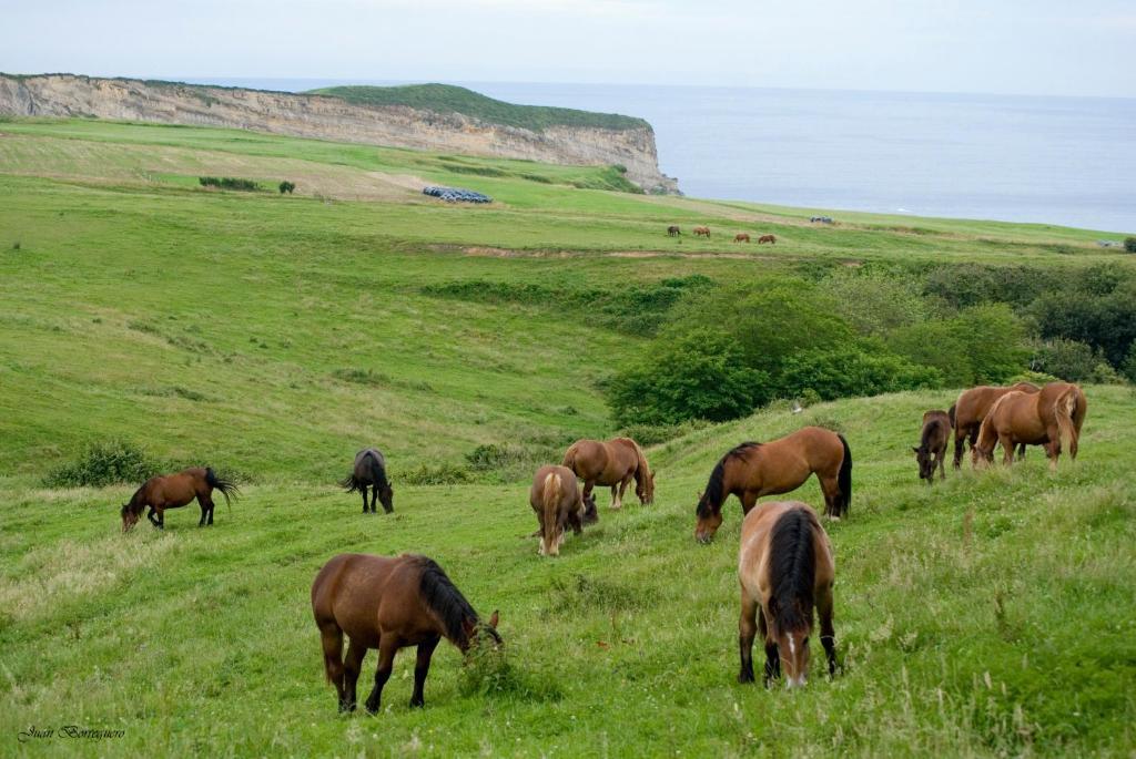 Posada Punta Ballota Suances Exteriér fotografie